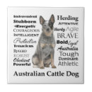 Recherche de bétail carreaux Chien