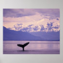 Search for inside passage posters Alaska