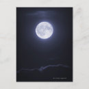 Search for shiny postcards Photography