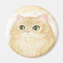 Recherche de persan magnets Chat