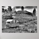 Search for shasta art Trailer