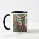 Search for skagit valley mugs Usa