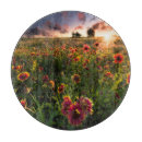 Search for blankets cutting boards Flower