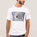 Recherche de phoque de harpé tshirts Ludique
