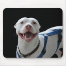 Search for pit mousepads Animal