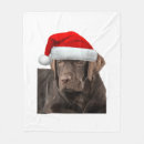 Search for chocolate lab blankets Animal