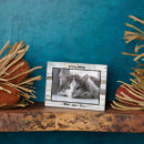 Recherche de cat memorial gifts En mémoire d'amour