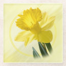 Recherche de pic bar Nature
