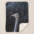 Search for zoo animal blankets Fun