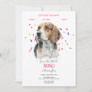 Recherche de beagles mignons invitations Chiot