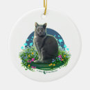Search for grey cat ornaments Kitten