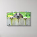 Search for backyard canvas prints Animal