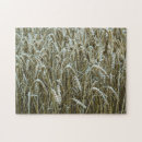 Search for cereal puzzles Agriculture