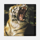 Search for detroit magnets United states