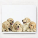 Search for piles mousepads Puppy