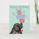 Search for newfoundland birthday cards Newfie