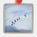 Search for antarctica ornaments Cold