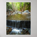 Search for calm peaceful posters Reflection