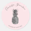 Search for pineapple stickers Elegant
