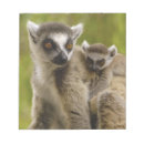 Search for ring notepads Lemur