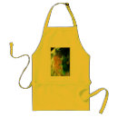 Search for climbing aprons Rock