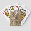 Recherche de lion jeux de cartes Faune