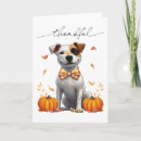 Search for cute thanksgiving cards Thankful