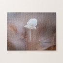 Search for tiny puzzles Fungus