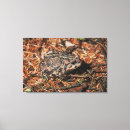 Search for wildlife canvas prints Side view