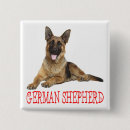 Recherche de berger badges Chien