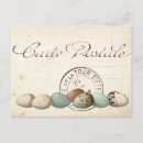 Search for bird eggs postcards French