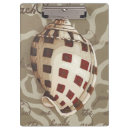 Recherche de sonnette Coquillages