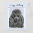 Recherche de peinture de caniche cartes postales Pour tous