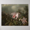 Recherche de naturalist posters Floral