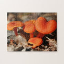 Recherche de mushroom puzzles Forest