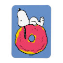 Search for donut magnets Doughnut