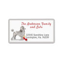 Search for toy poodle return address labels Pet