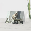 Search for cat quote cards White