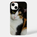 Recherche de vétérinaire iphone coques Chat