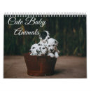 Search for cute animal calendars Dogs