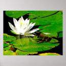 Recherche de étang nénuphar posters Été