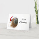 Search for funny horse christmas cards Xmas