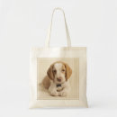 Search for dog tags bags Puppy