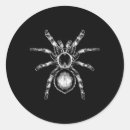 Search for tarantula stickers Creepy