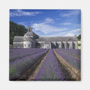 Recherche de vaucluse magnets Provence