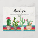 Search for cactus cards Succulents