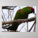 Search for photo mask posters Red