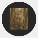 Search for funny internet stickers Meme