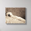 Search for black white animal canvas prints Pets