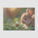 Search for easter bunny tissue paper Nature